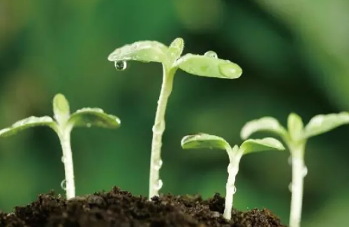 土壤養分分析儀